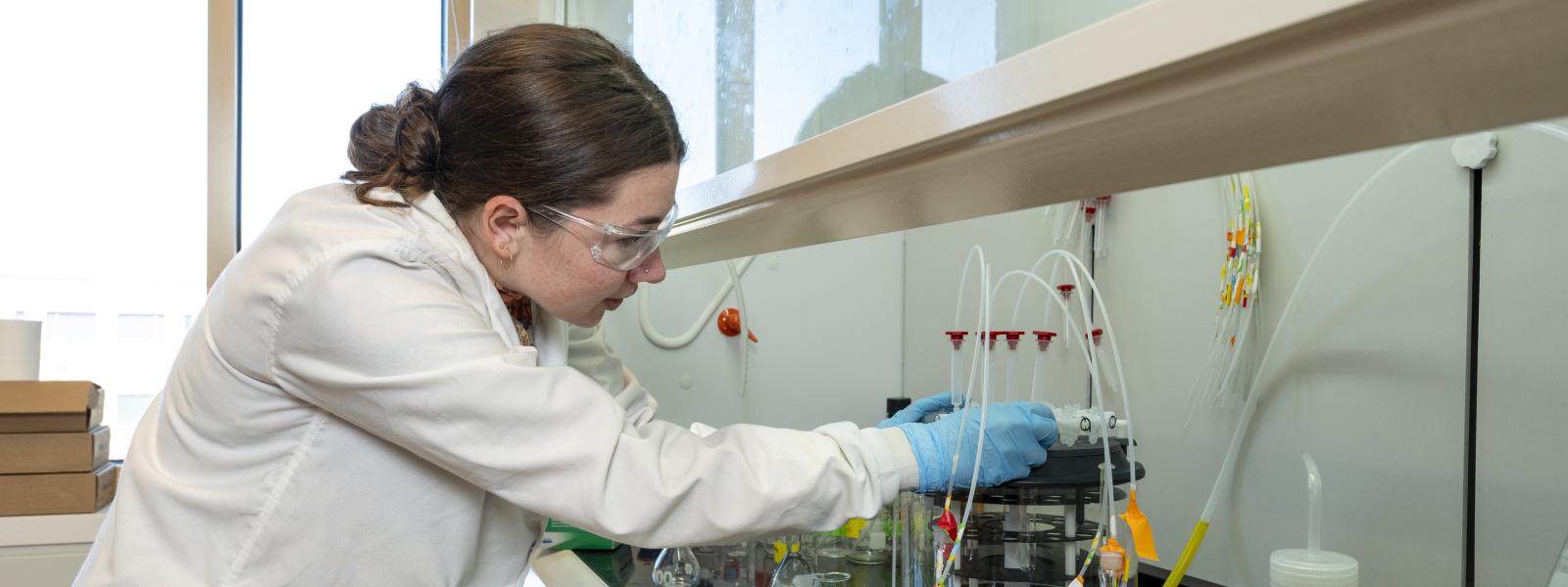 Sheldon Masters water quality lab test tubes