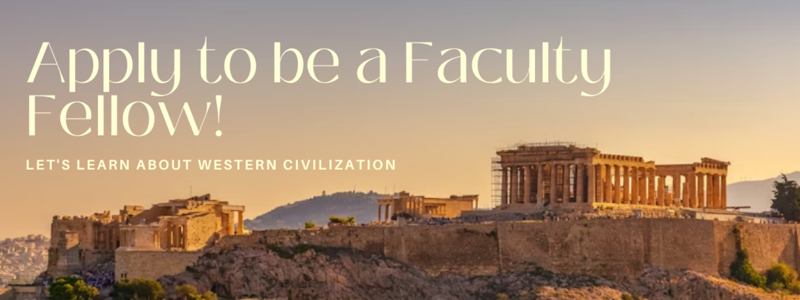 Apply to be a faculty fellow slider