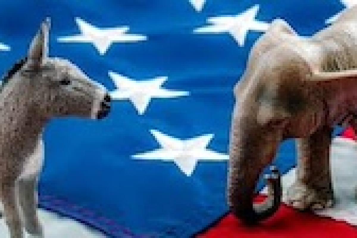 Donkey and elephant on American flag