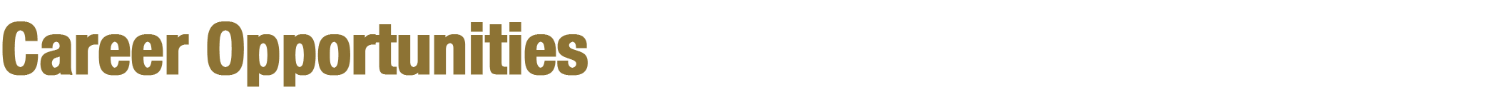 Career Opportunities