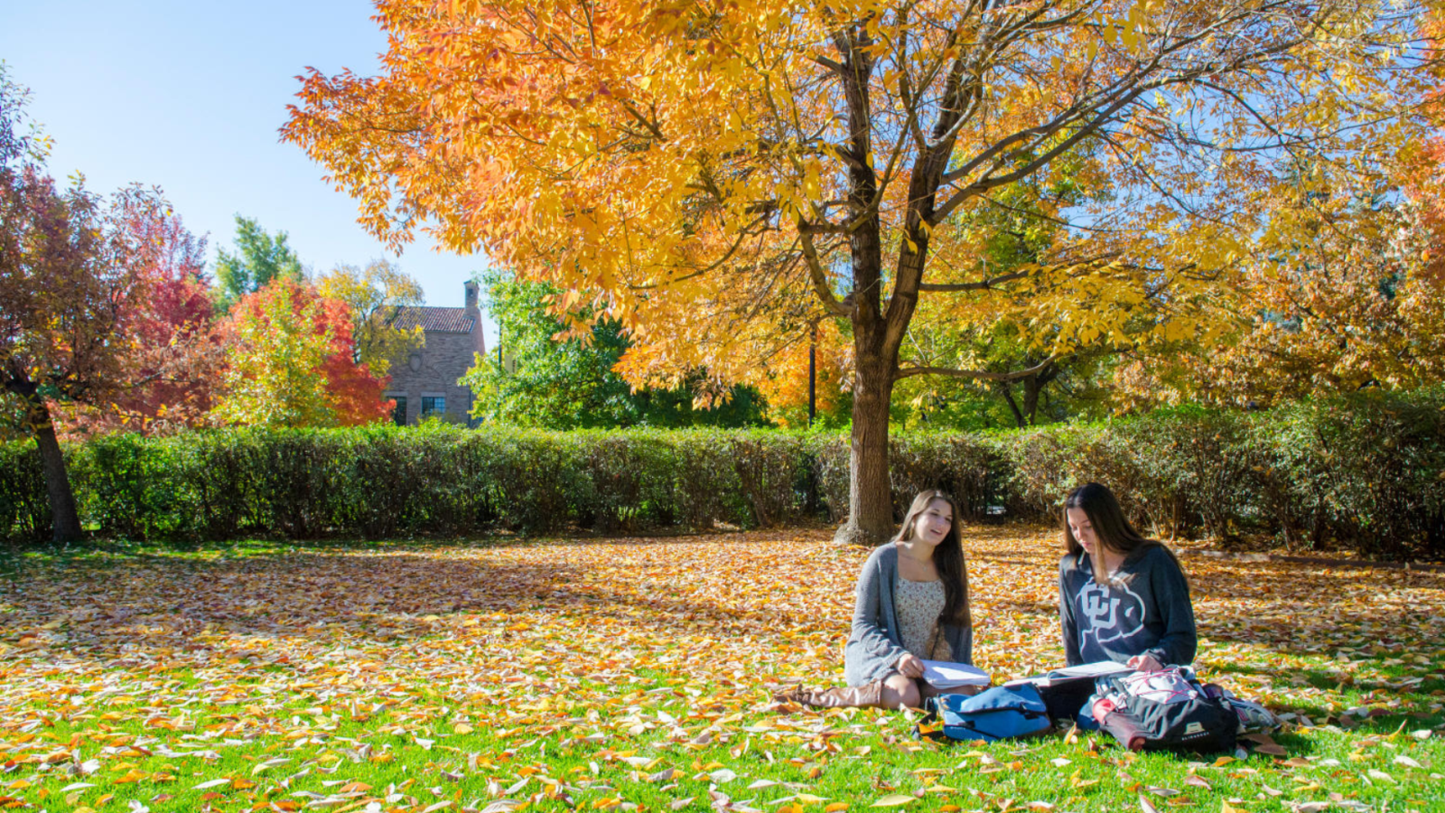Students on CU campus lawn in Autumn