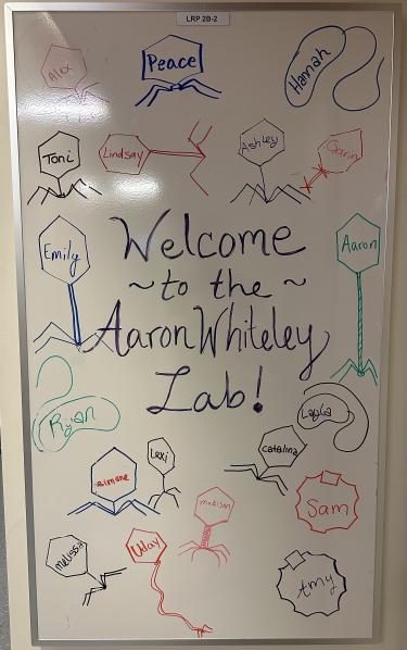 20230614 Lab Whiteboard