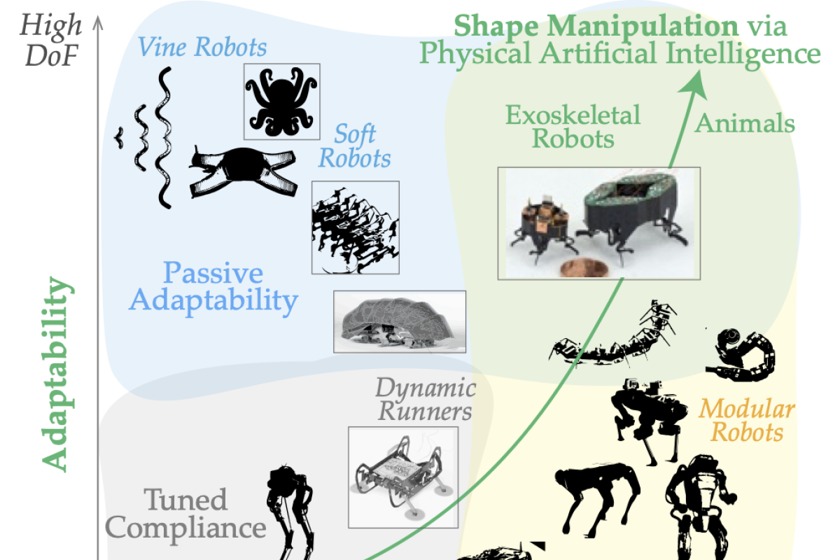 Robustness Tradeoffs