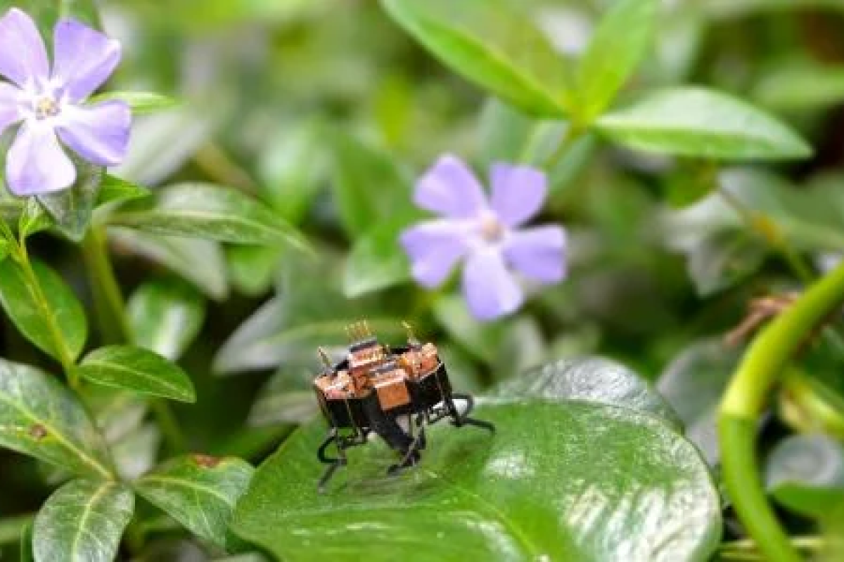 mCLARI highlight potential applications in precision agriculture