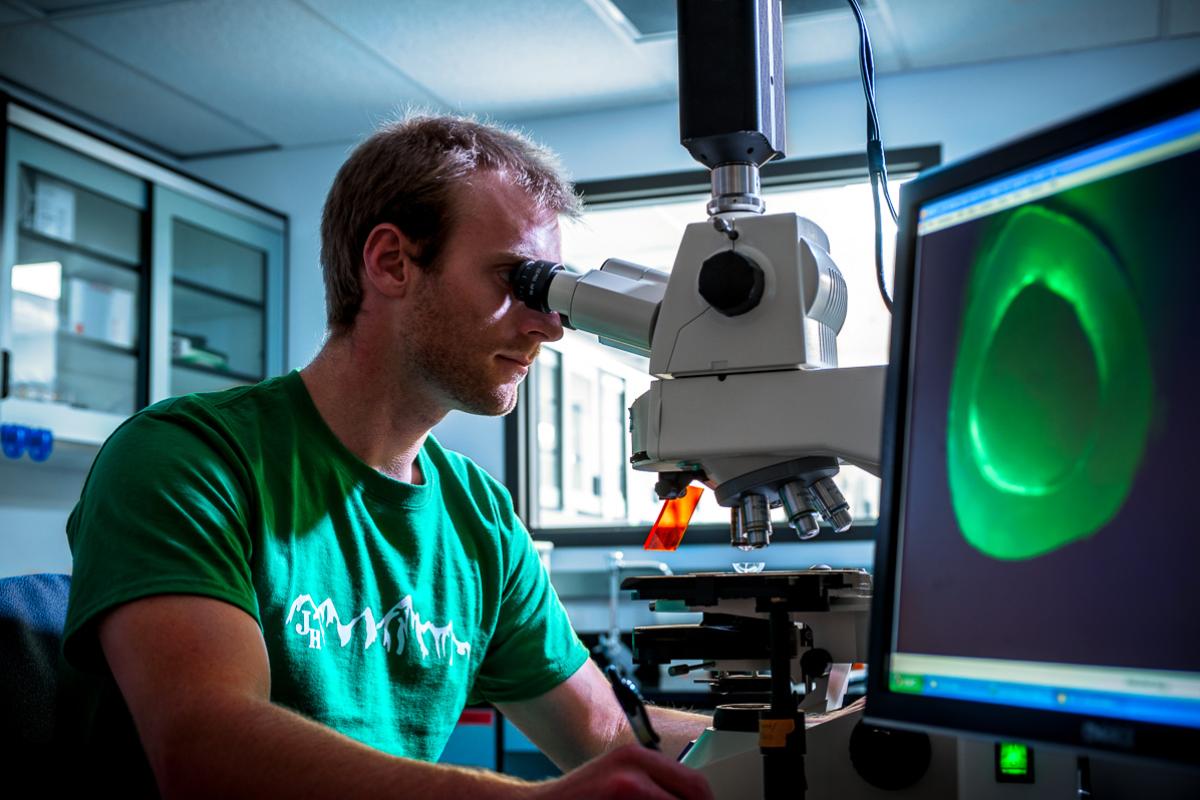 Student using a microscope