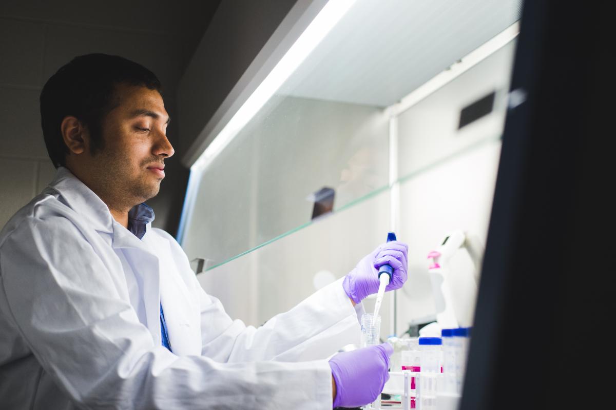 Student working in the Neulab