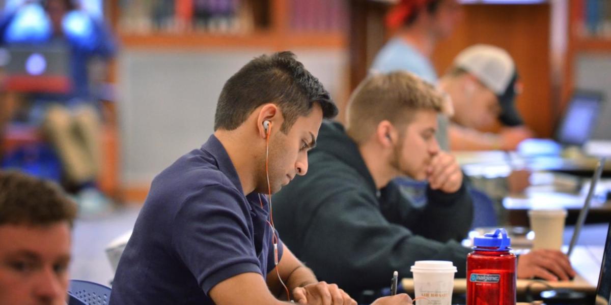 Students studying in the library