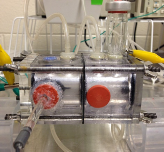 Carbonate products analyzed by XRD crystal phase analysis (Jason Ren)