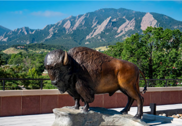 Statue of buffalo on top of CASE building with flatirons in the background