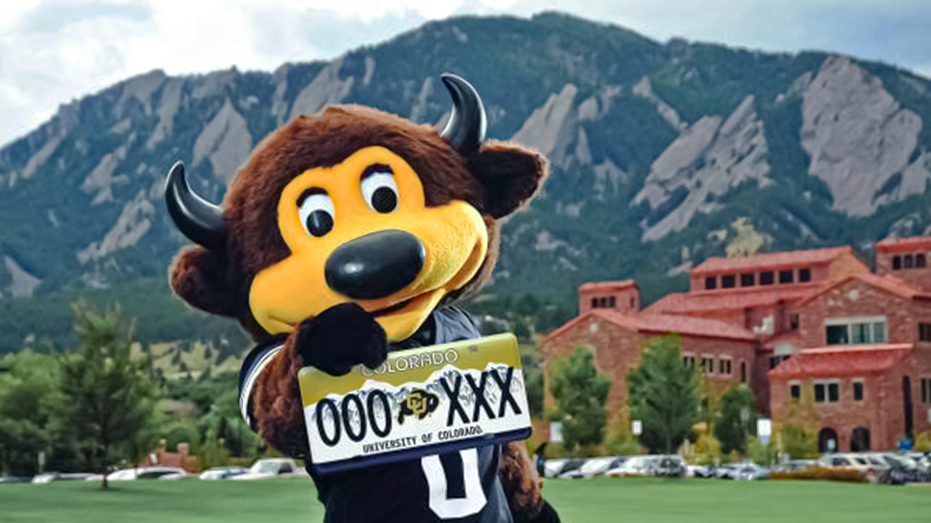 CU Boulder mascot Chip holding up a University of Colorado license plate 