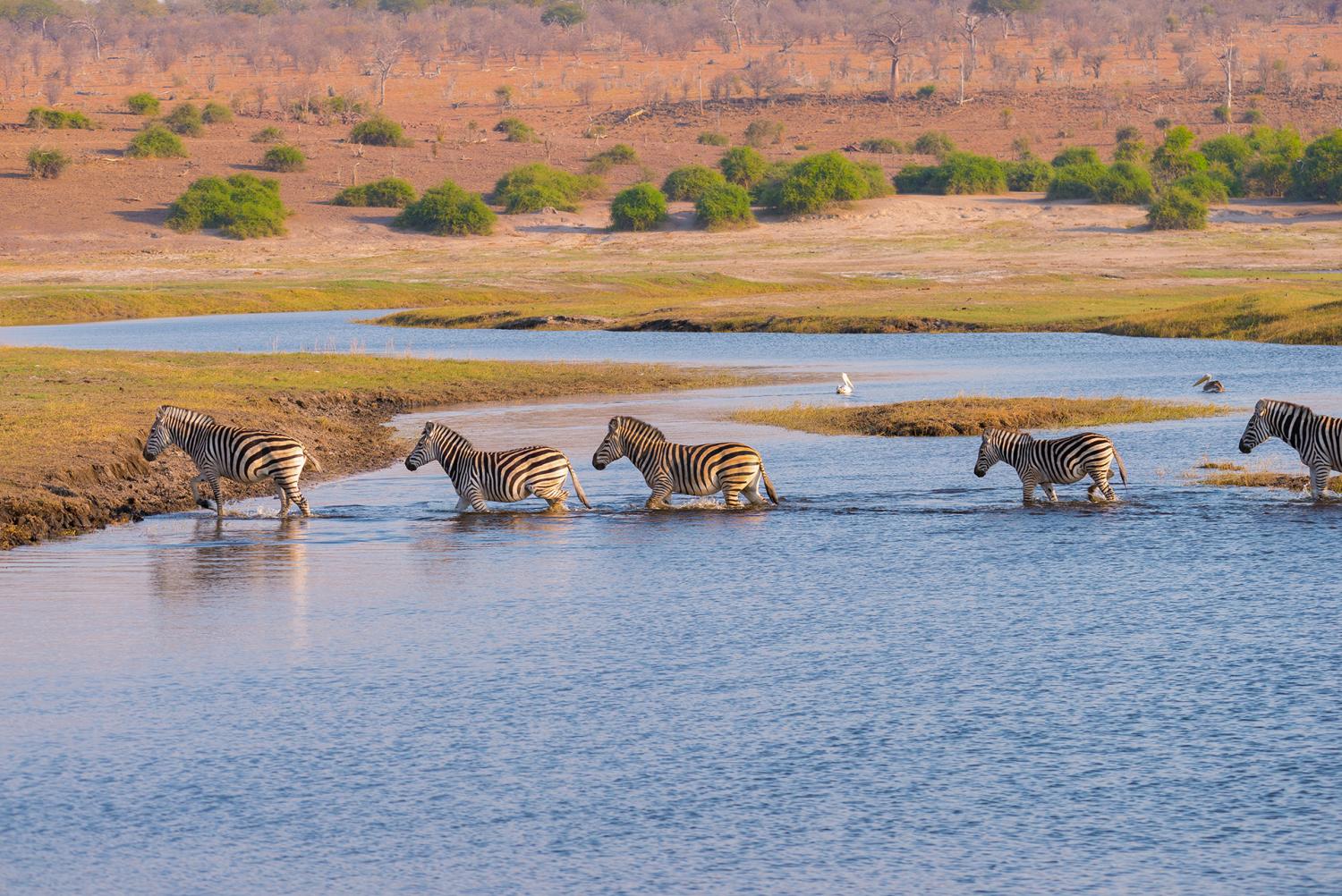 The Best of Southern Africa