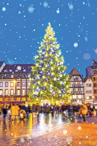 Christmas tree in Strasbourg Market