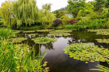 Monet garden in Giverny