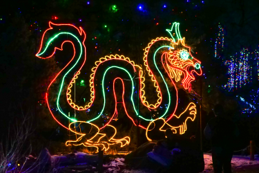 Zoo Lights Dragon