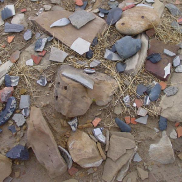 Pottery remains in the field. 