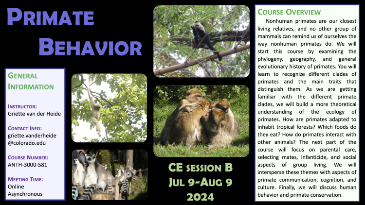 ANTH-3000-581 Primate Behavior Flyer featuring primates