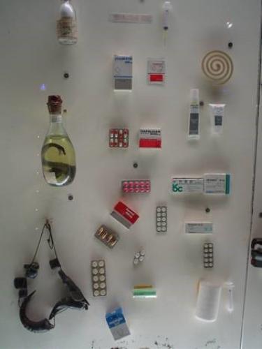 From Potions to Pharmaceuticals (Photo/Alison Cool)