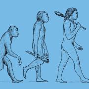 Ape evolution picture