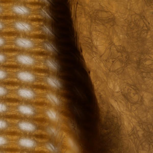 "the tender place where the world breaks" still, 16mm film, super 8mm film, regular 8mm film, bandaids