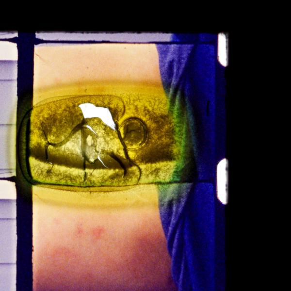 "the tender place where the world breaks" still, 16mm film, super 8mm film, regular 8mm film, bandaids