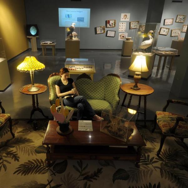 Student sitting in museum installation at the CU Museum of Natural History