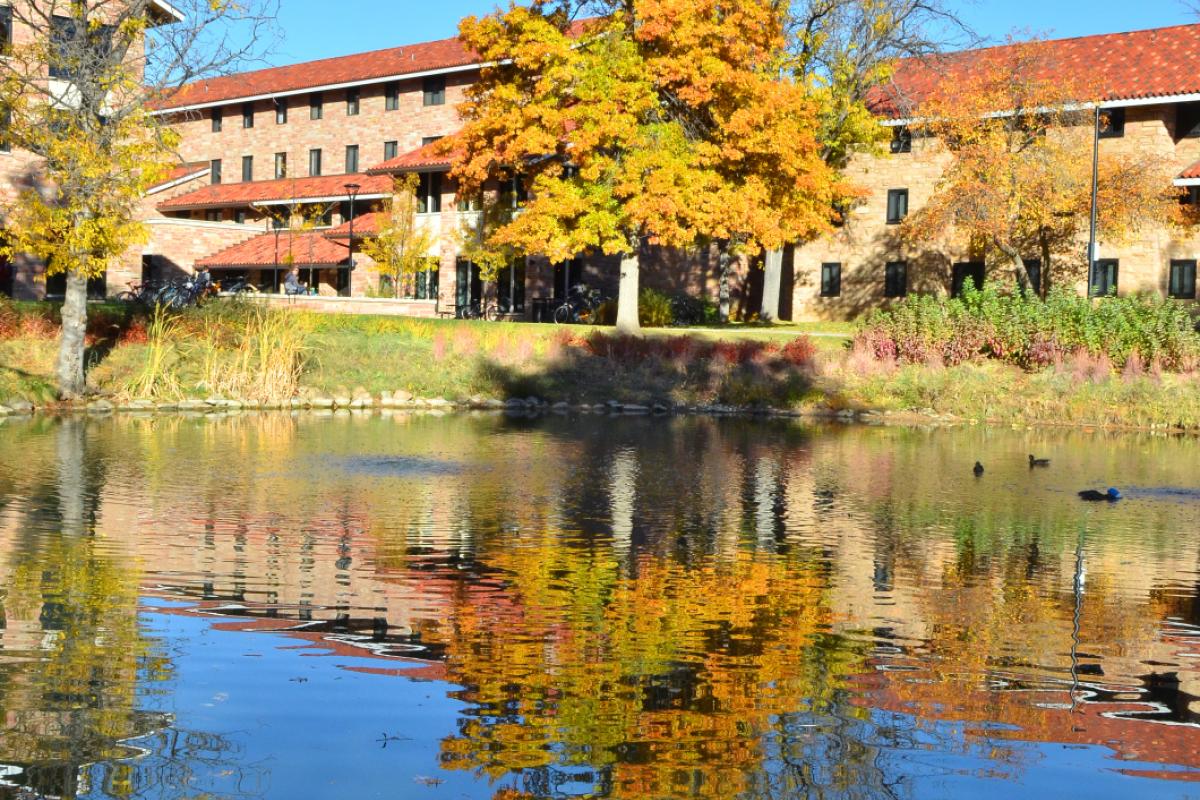 Kittredge Pond near Arnett Hall