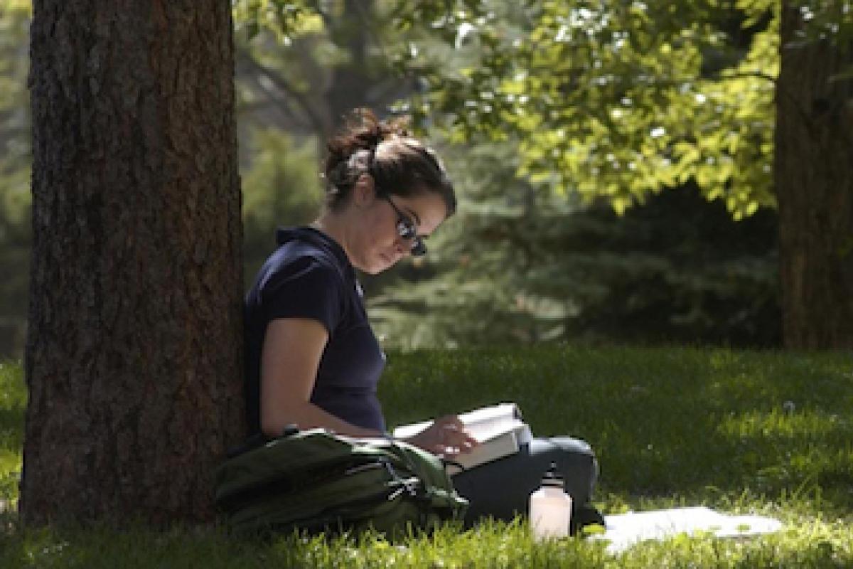 A student sits and studies a book in a green lawn.
