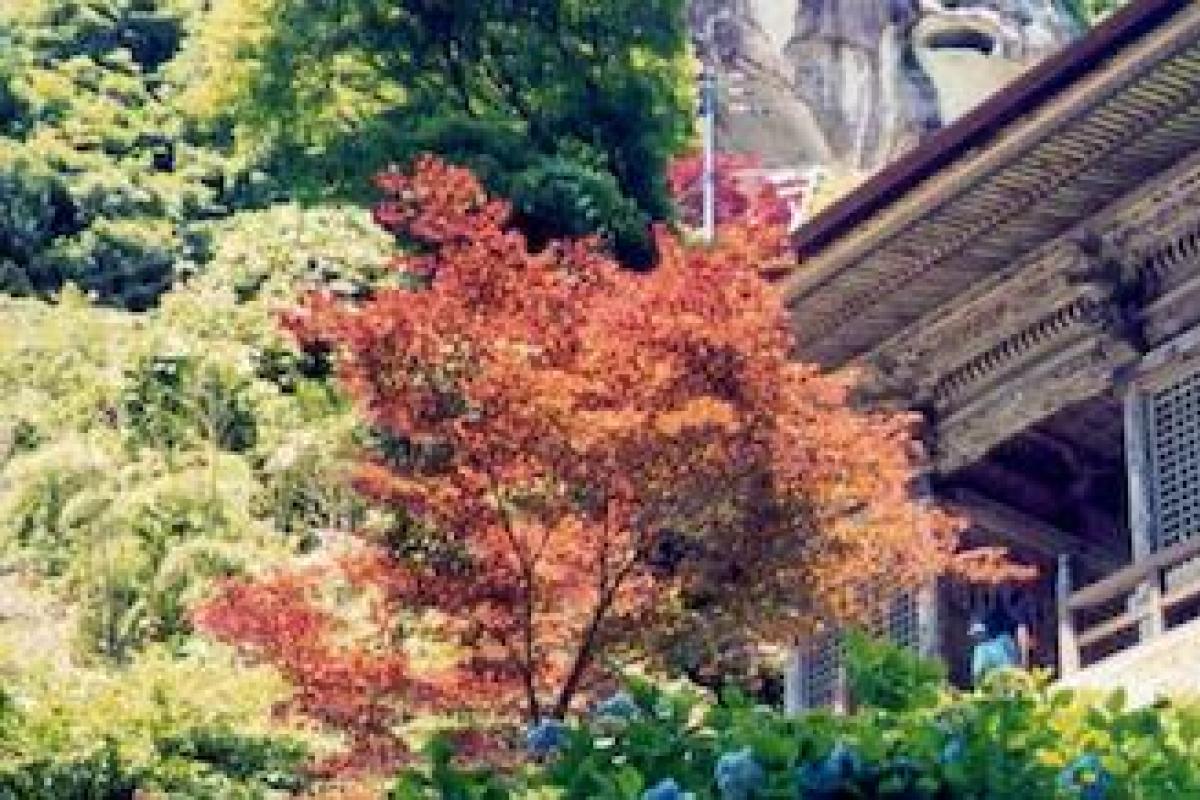Image of a east Asian temple surrounded by a colorful garden