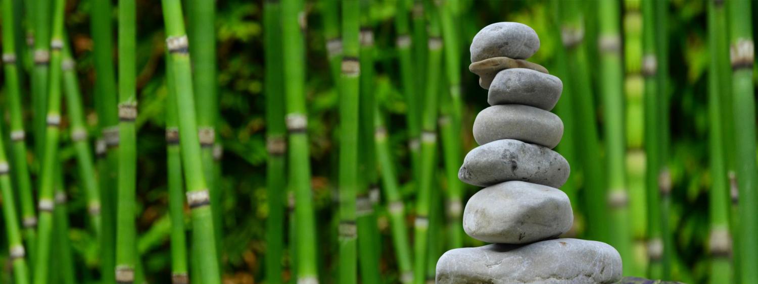 A cairn of gray river stones is stacked against a bamboo forest.