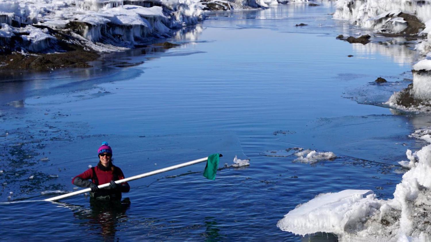 Alison Banwell wades through a meltwater pond in Antarctica