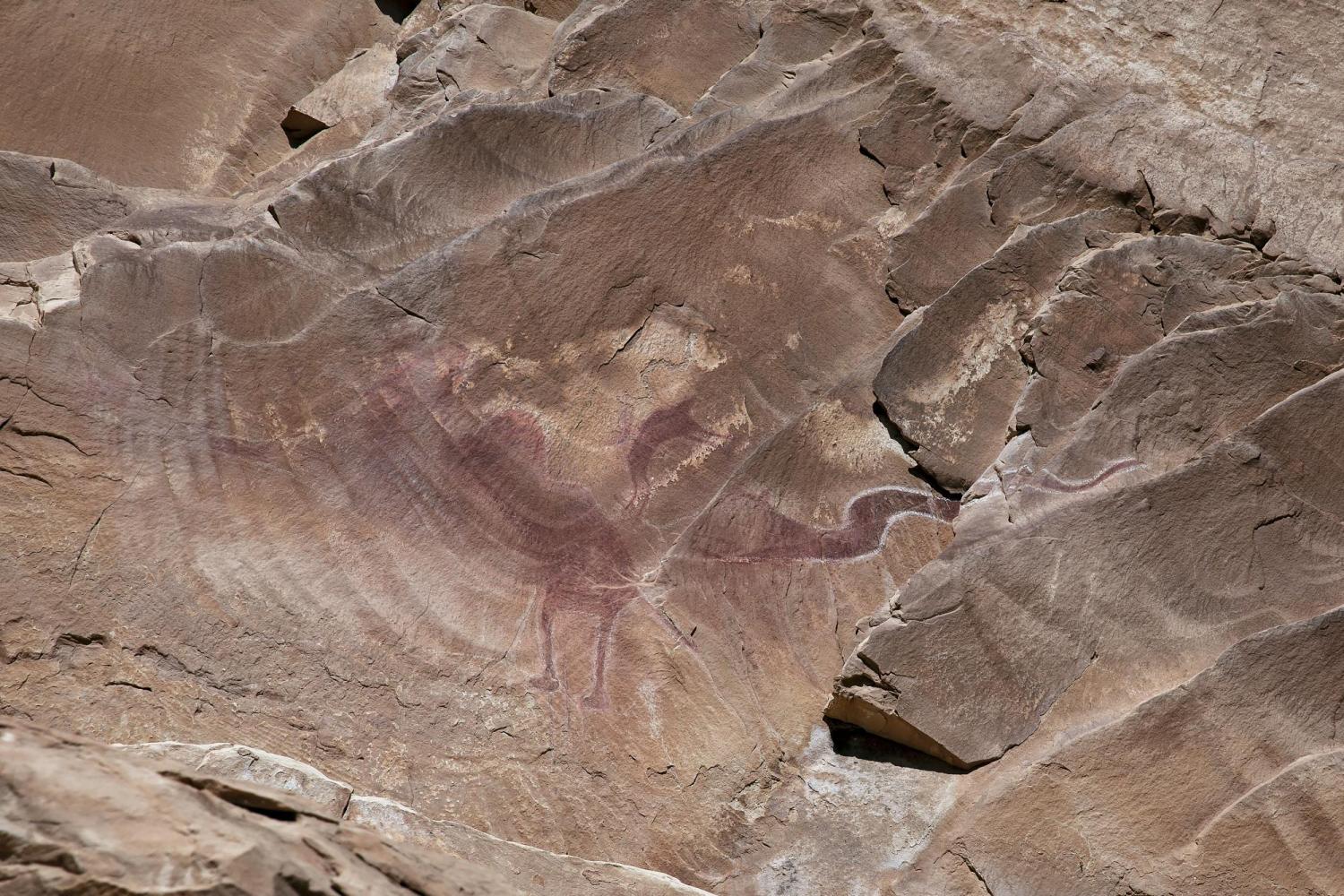 Is this pictograph of a pterodactyl proof that the flying reptiles and Native Americans lived at the same time?