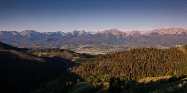 The spruce bark beetle kill in the Gore Range stretches from Dillon many miles to the north.Photo by Jeff Mitton