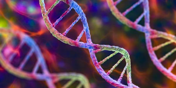 colorful illustration of DNA strands