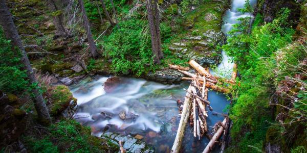 A small creek running by