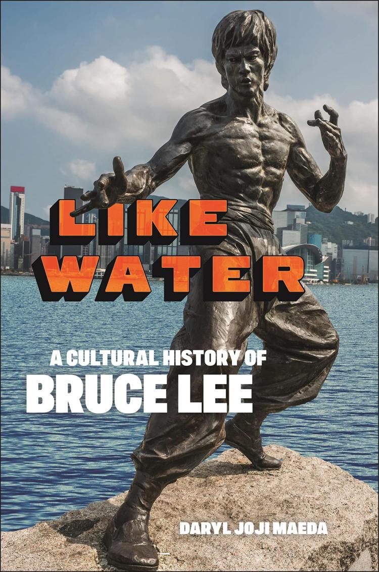 WIDE ANGLE: FILM, FIGHTING, AND PHILOSOPHY: THE ARTS OF BRUCE LEE