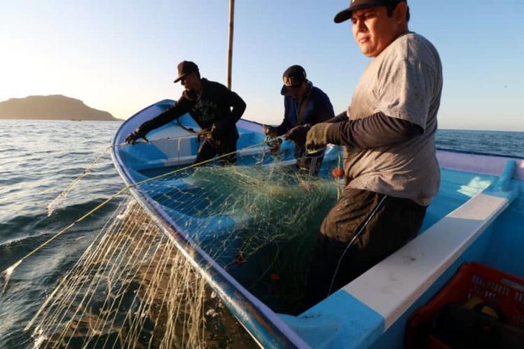 Commercial fishermen in boat near Mazatlan, Mexico