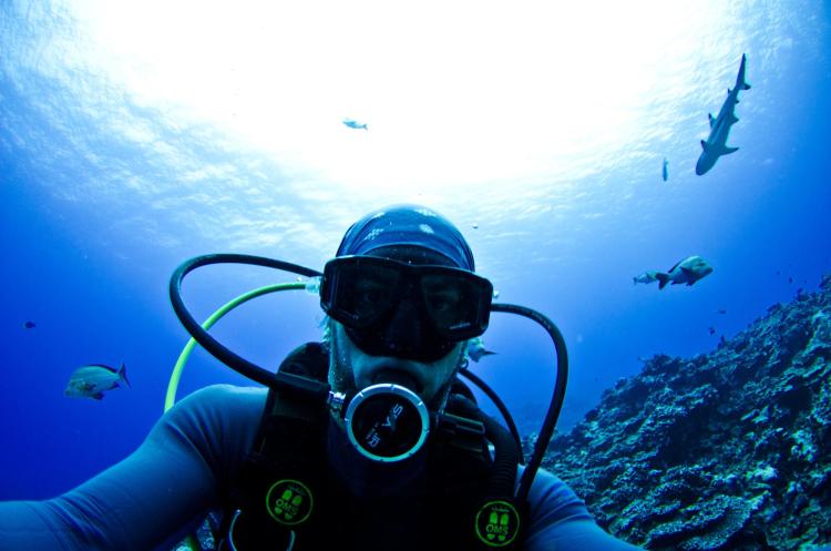 Mike Gil scuba diving with shark.