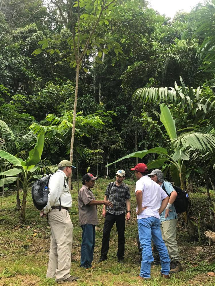 Together with colleagues from the Federal University of Acre, lead author Peter Newton talks with Sr. Dimas in his agroforest on the edge of the Amazonian forest in the state of Acre, Brazil.