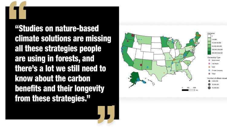 Quote: "Studies on nature-based climate solutions are missing all these strategies people are using in forests, and there’s a lot we still need to know about the carbon benefits and their longevity from these strategies."