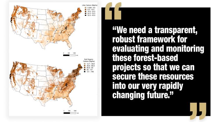 Quote: "We need a transparent, robust framework for evaluating and monitoring these forest-based projects so that we can secure these resources into our very rapidly changing future."