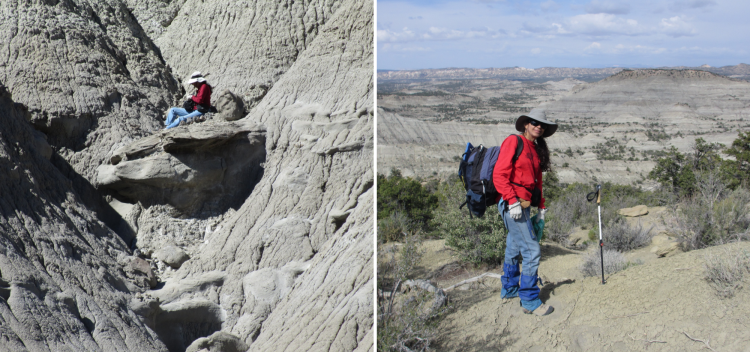 Karen Chin on paleontology digs