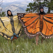 Four adults dressed as butterflies