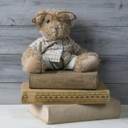 Bear with book