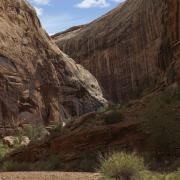 Black Dragon Canyon is deep, narrow and sinuous, and desert varnish darkens the walls. 