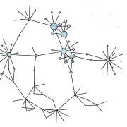 Network web diagram representing the change influence/connectivity after the faculty fellows program started.