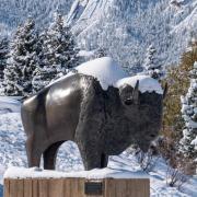 Ralphie sculpture in the snow