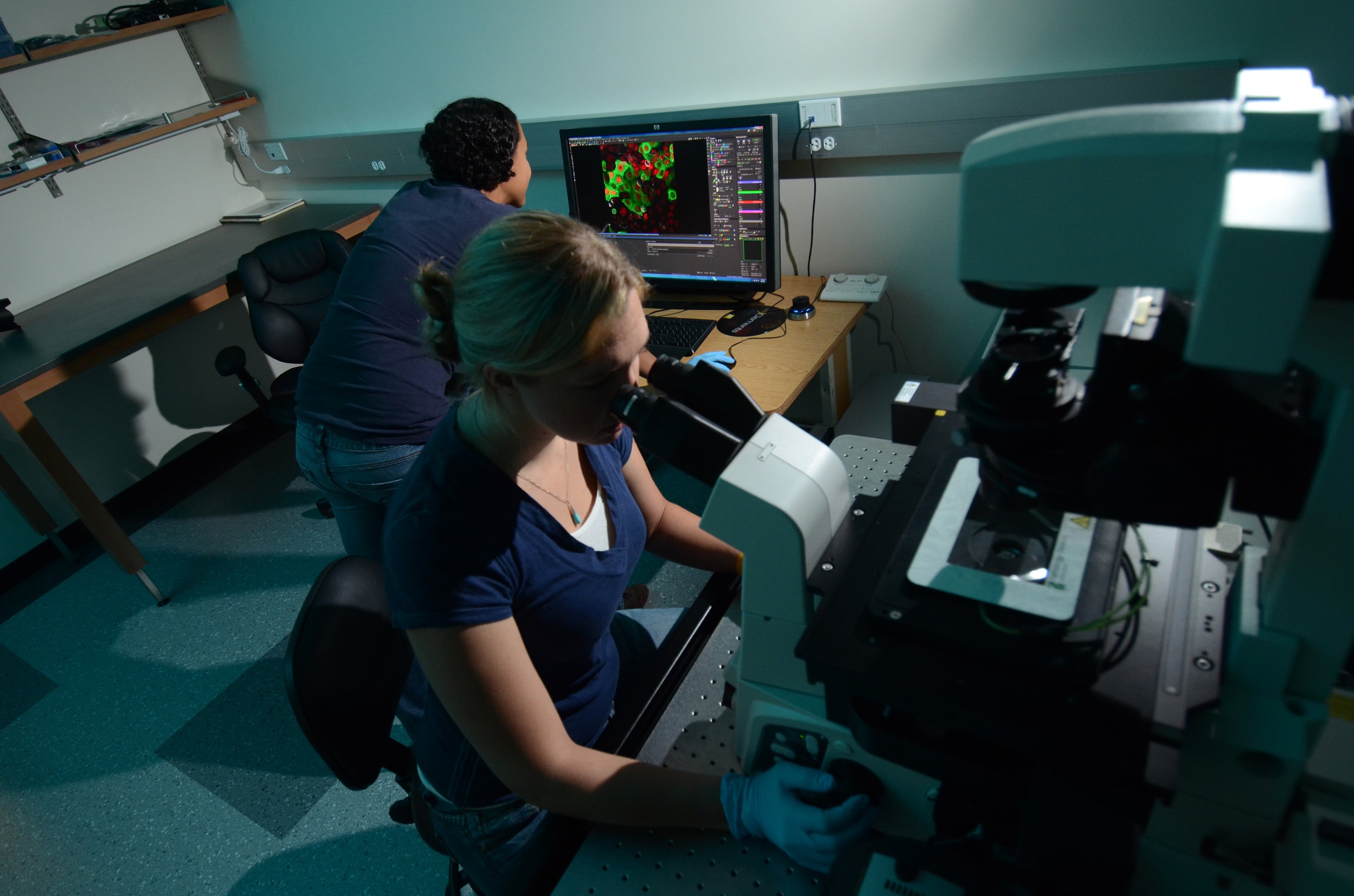 Scientists working on microscopes