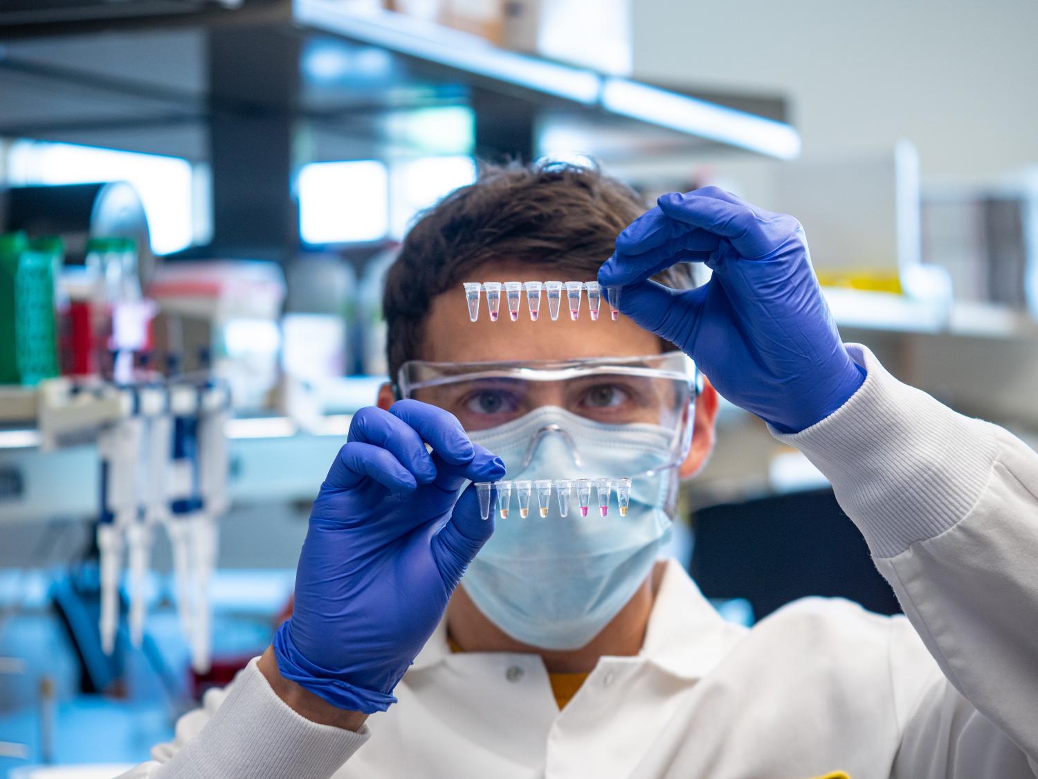 Researchers from the BioFrontiers Institute at CU Boulder have developed a saliva-based COVID-19 test which changes colors, from pink to yellow, when it is positive.