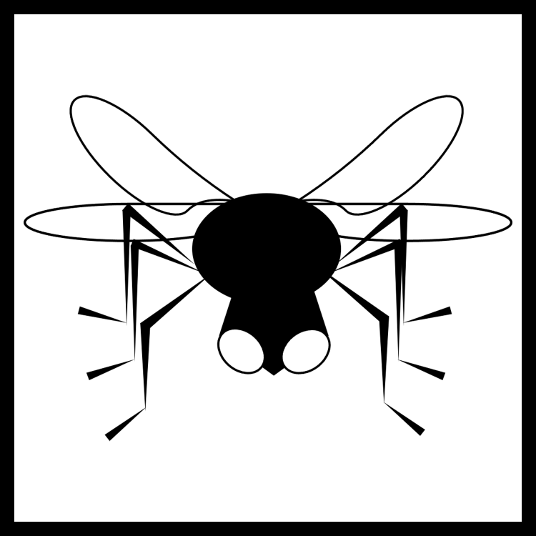 Entomology represented by a fly