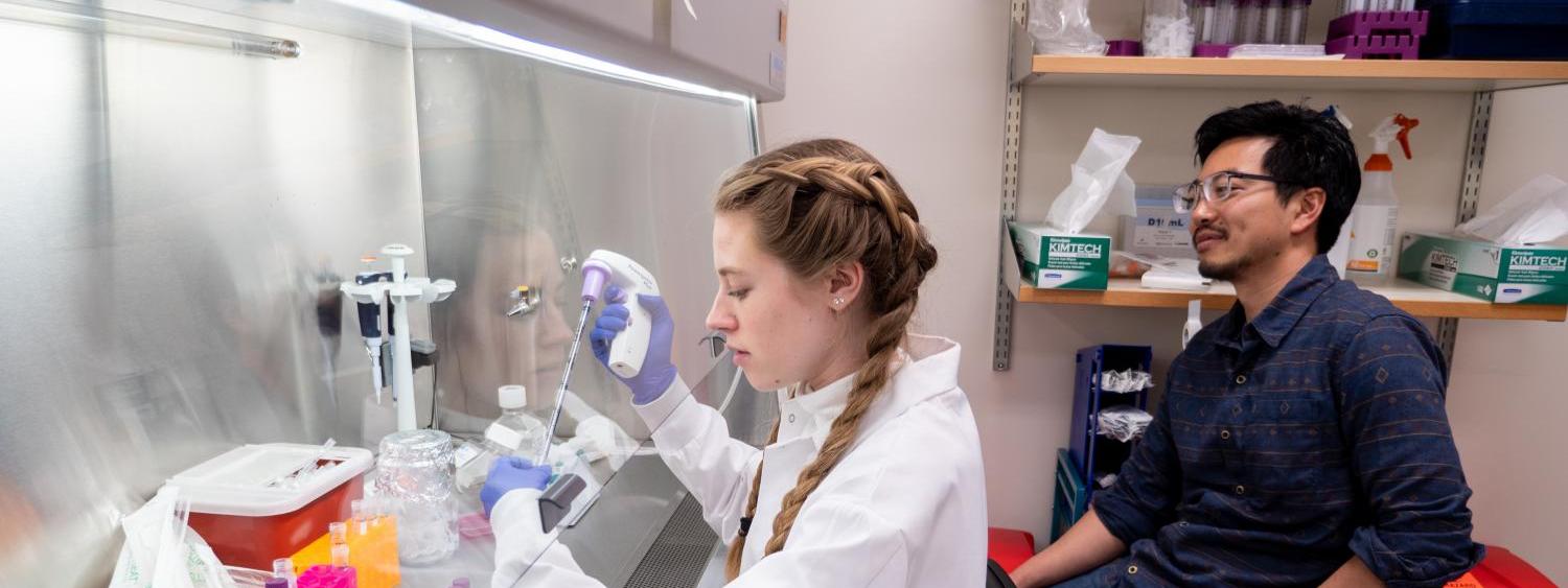 Packard Fellowship recipient Ed Chuong, assistant professor of molecular, cellular and developmental biology, works in his lab with undergraduate student Isabella Horton.
